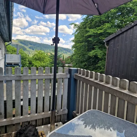 Vacation apartment WaldZeit in Hahnenklee - with dog