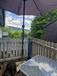 Vacation apartment WaldZeit in Hahnenklee - with dog