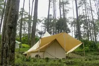 Lembah Pinus