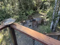 Rainforest retreat near Canyon Lookout & trails, mins to Springbrook wonders - Alojamientos