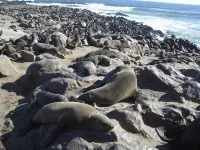 Nikita's Holiday Home - Walvis Bay - Beach