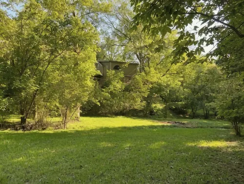 Magical Log Cabin, Streams in Private Yard, 4 Bedrooms, Pet Friendly, WiFi