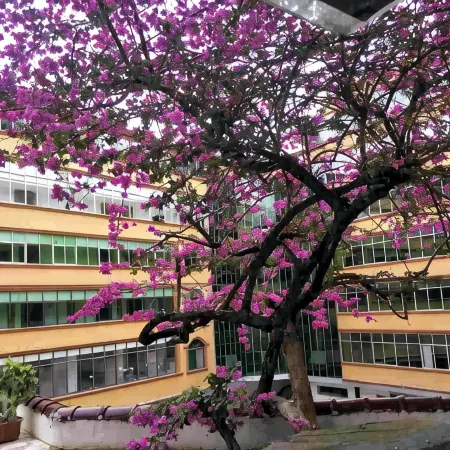 Jing Xi Hotel