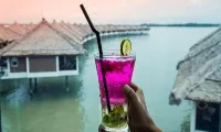 Ark Goldcoast Resort - bar