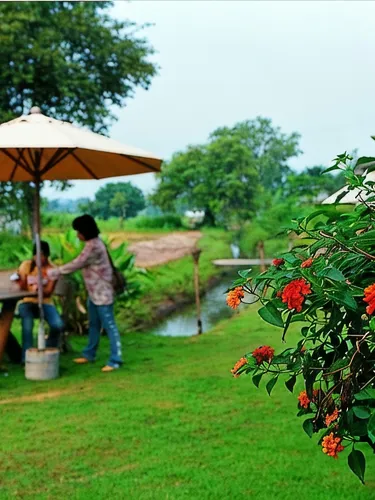 รูปภาพของโรงแรมฝ้ายขิด
