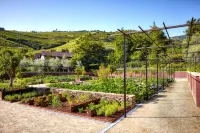 Six Senses Douro Valley Hotels in 