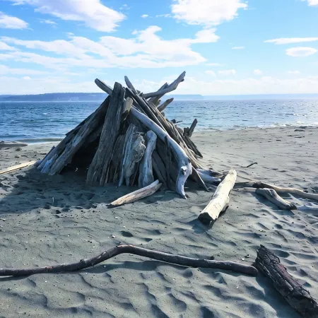 Coastal Retreat Across From Puget Sound Sleeps 2-4. High Speed Internet.