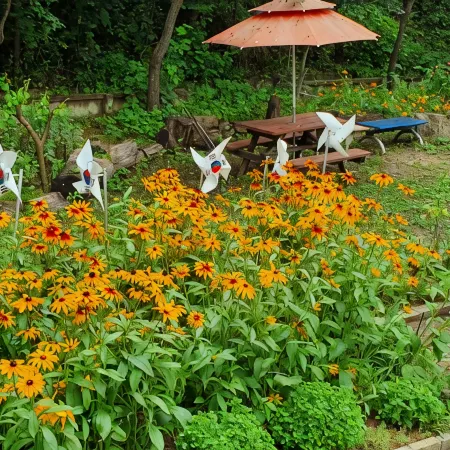 Yecheon Water Clear Mountain Pension