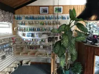 Copper River Motel - 2-Star