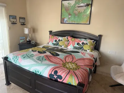 Cabo San Lucas Private End Unit Villa Oceanside! StunningMedano Beach Ocean View Hotels in 
