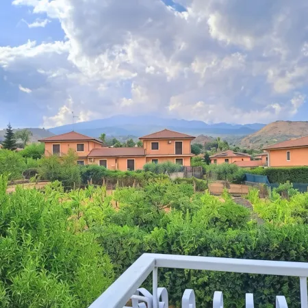 The Little Vineyard