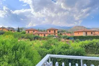 The Little Vineyard