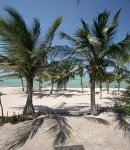 Jacaranda Beach Resort - Beach