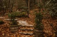 Charmed @CherryHideaway - 1970s Vintage Modern - Mountain A-Frame - Dog Friendly - Alphydda