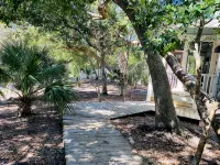 NEW lithium GOLF CARTS, Renovated and newly Furnished Welcome to Palm Paradise - Wi-Fi