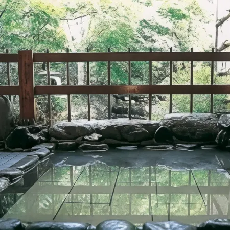 Oyado Hakusan Hanare Satoyamanosiki