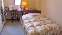 Hotel Platon Annex Green Plaza - Hot Springs