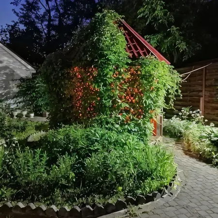 Четыре короны