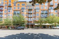Seattle Among The Trees: in Belltown with Parking! Hotel di Belltown