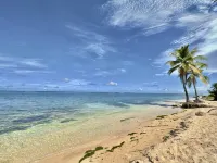 Beach Vibes: Pool w. Waterfall, Beach by El Yunque - 3-Star