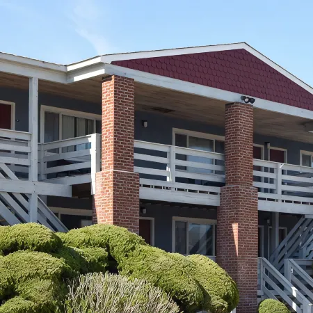 Born Free Suites by the Sea