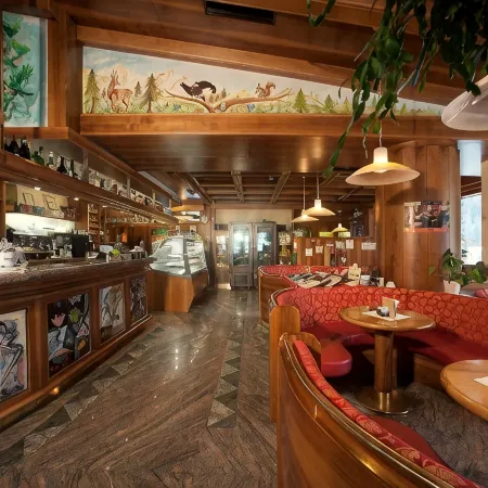 Hotel Stella Alpina