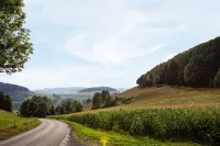 Spacious country house with open fireplace and garden in the Sauerland for young and old - Boutique