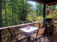 Secluded Mountain Cabin by the New River l Hot Tub + Game Room l Pet-Friendly - 2-Star