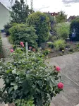 Sunny 4-star holiday home in Stralsund, the gateway to the island of Rügen - Homestays