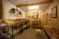 Gästehaus Kleindienst - Homestays
