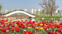 JI Hotel (Yining Beijing Road) - غرفة مطلة على الجبل