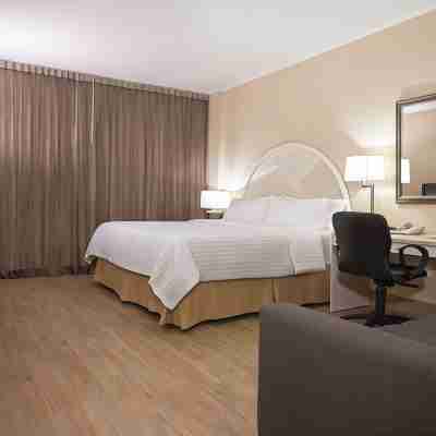 Holiday Inn Express Torreon Rooms