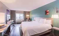 Hilton Garden Inn des Moines/Urbandale Hôtels à : Urbandale
