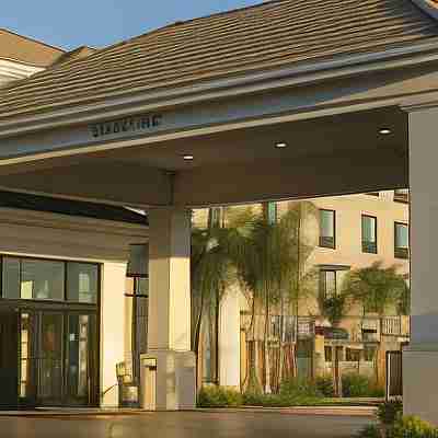 Hilton Garden Inn Sacramento/Elk Grove Hotel Exterior