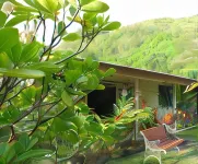 Pension TE Miti - Plage-Beach 200m - Mahana Parc & Vaiava Beach pk18 - B&B Chambres ou Dortoir Hotels in Punaauia