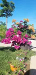 Palafita Bungalow