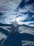 LH Suites Aparthotel New Opening Inkl JokerCard Hôtels à : Saalbach