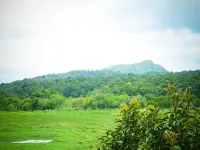Kerala House Hotels in Kumily