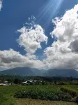 Pondok Bamboo Sendangsari Hotels in Mojotengah