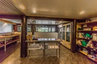 Jackaroo Treehouse Rainforest Retreat Hotels in Wongaling Beach