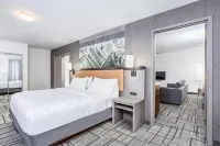 ホリデイ イン ラファイエット - シティ センター by IHG のホテル