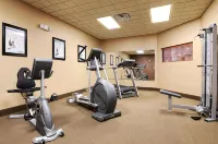 Wingate by Wyndham New Braunfels - gimnasio