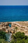 Olivia Palm Hotel - Ocean View