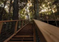 Buckeye cabin is nestled in the woods with access to the Little Missouri River.