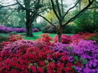 Avalon House B&B Hotels in Cadnam
