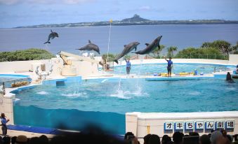 Little Island Okinawa Nago