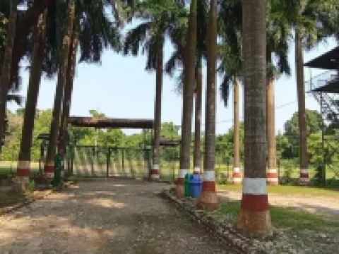 Samarth Bardia Adventure Resort Hotels in Bardia