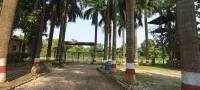 Samarth Bardia Adventure Resort Hotels in Tikapur