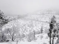 Vamoose Pahadi Ghar Hotels in Chamba