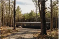 100ft of Forest Light - Modern Catskills Escape Hotels in Catskill